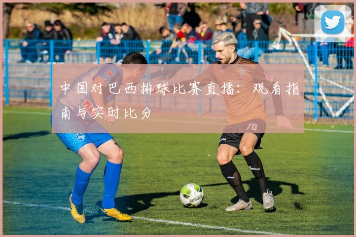 中国对巴西排球比赛直播：观看指南与实时比分